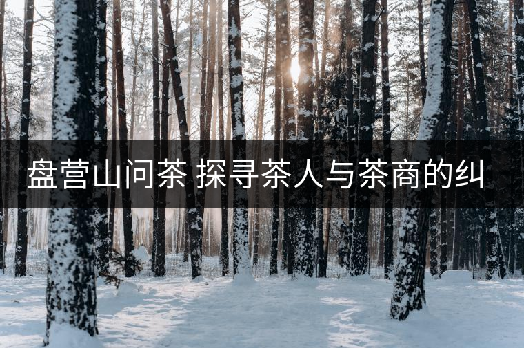 盤(pán)營(yíng)山問(wèn)茶 探尋茶人與茶商的糾結(jié) 盤(pán)營(yíng)山問(wèn)茶 探尋茶人與茶商的糾結(jié)