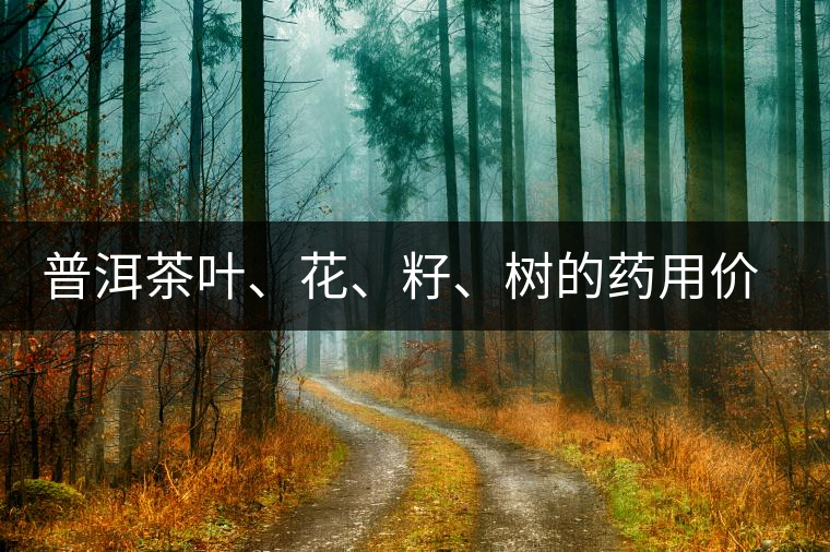 普洱茶葉、花、籽、樹的藥用價(jià)值