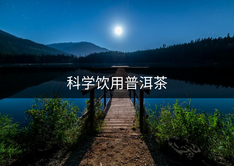 科學飲用普洱茶 科學飲用普洱茶