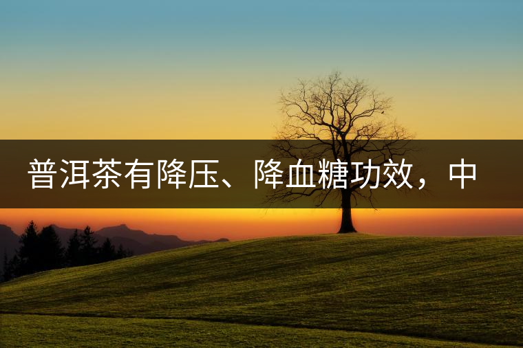 普洱茶有降壓、降血糖功效，中老年人不再懼怕糖尿病