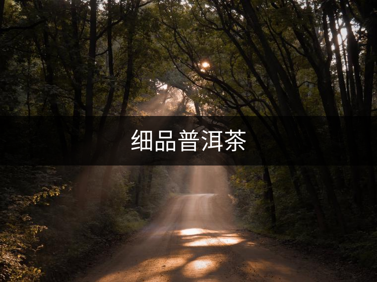 細(xì)品普洱茶 細(xì)品普洱茶