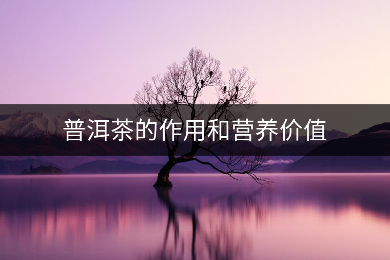 普洱茶的作用和營養(yǎng)價值 普洱茶的作用和營養(yǎng)價值
