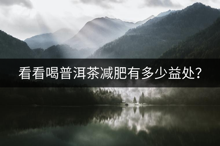 看看喝普洱茶減肥有多少益處？