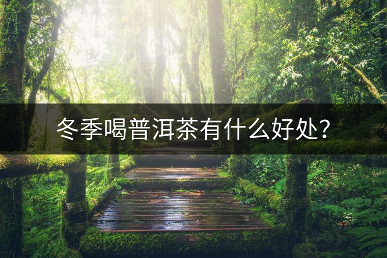 冬季喝普洱茶有什么好處？
