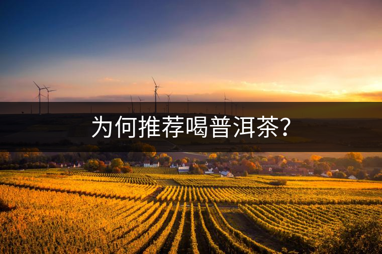 為何推薦喝普洱茶？
