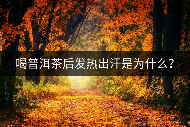 喝普洱茶后發(fā)熱出汗是為什么？