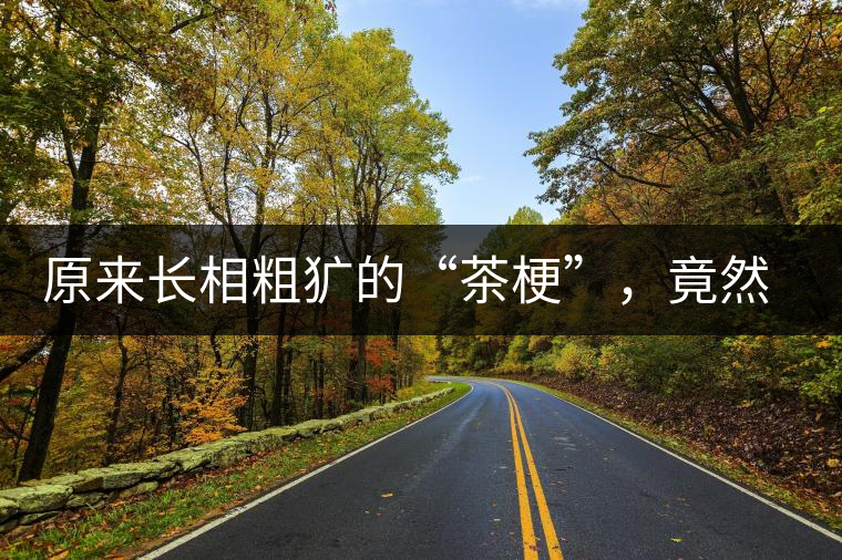 原來(lái)長(zhǎng)相粗獷的“茶?！保谷贿€有這么多的作用