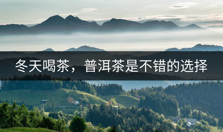 冬天喝茶，普洱茶是不錯(cuò)的選擇