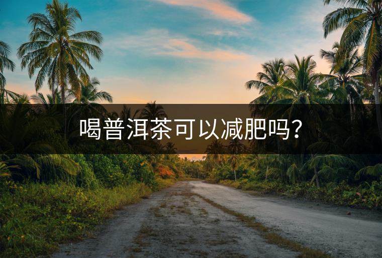 喝普洱茶可以減肥嗎？