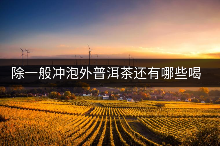 除一般沖泡外普洱茶還有哪些喝法？