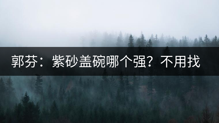 郭芬：紫砂蓋碗哪個強？不用找藍翔