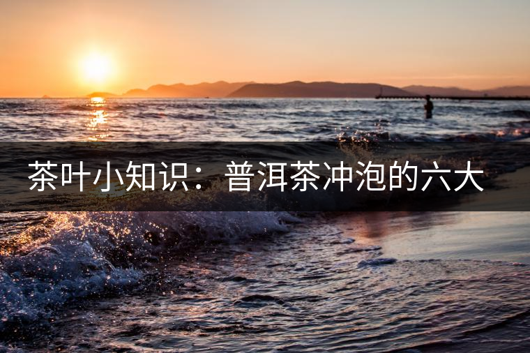 茶葉小知識：普洱茶沖泡的六大技巧（進(jìn)階六式）