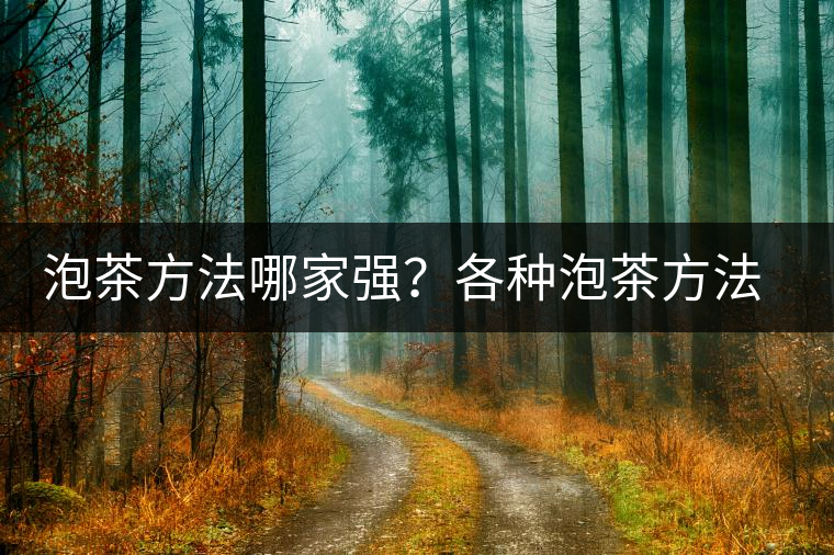 泡茶方法哪家強(qiáng)？各種泡茶方法介紹