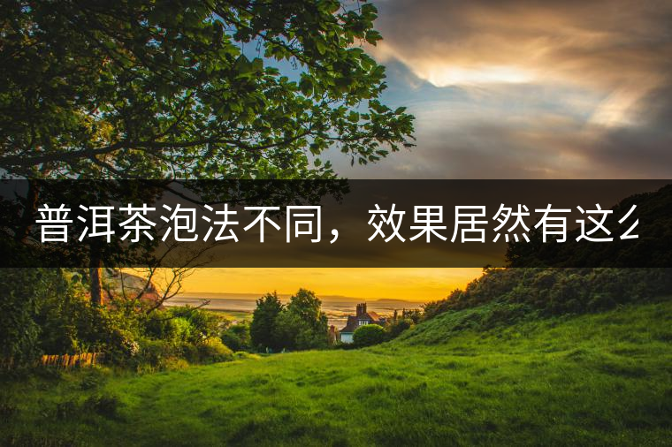 普洱茶泡法不同，效果居然有這么大區(qū)別！