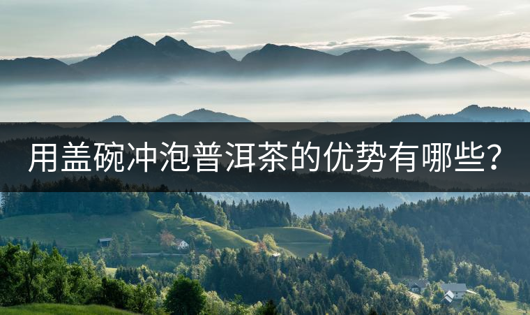 用蓋碗沖泡普洱茶的優(yōu)勢有哪些？