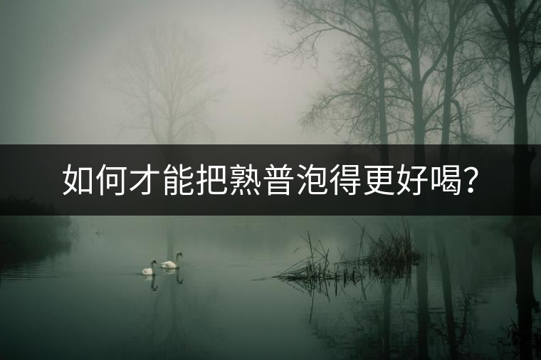 如何才能把熟普泡得更好喝？