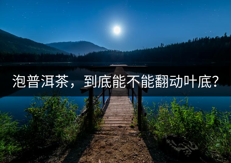 泡普洱茶，到底能不能翻動葉底？