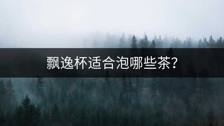 飄逸杯適合泡哪些茶？