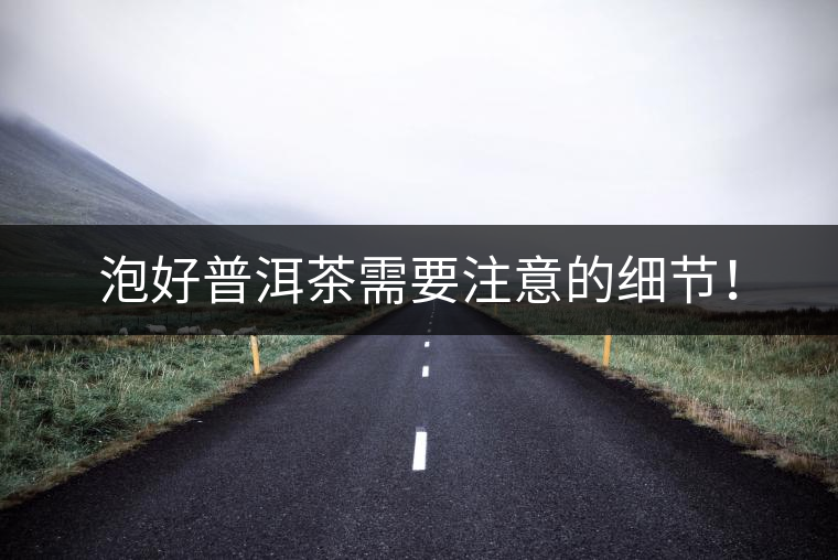 泡好普洱茶需要注意的細節(jié)！