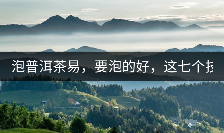 泡普洱茶易，要泡的好，這七個技巧很重要！