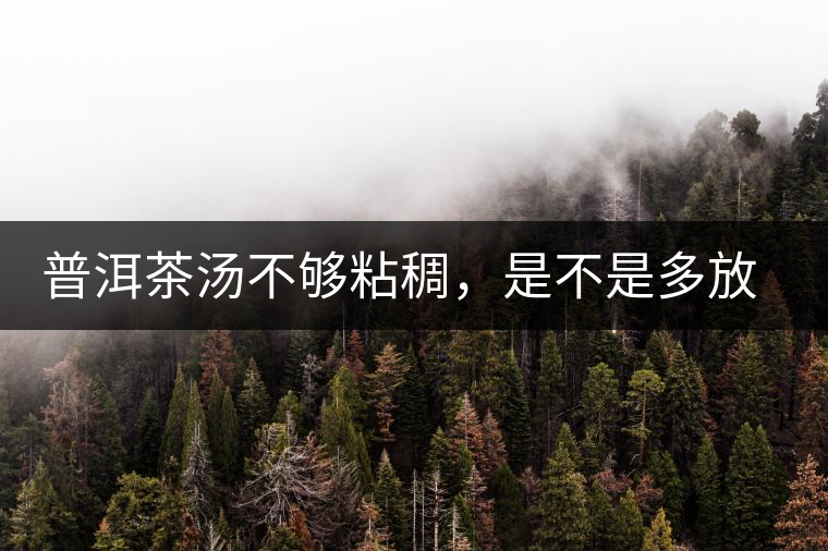 普洱茶湯不夠粘稠，是不是多放些茶葉就好了嗎？