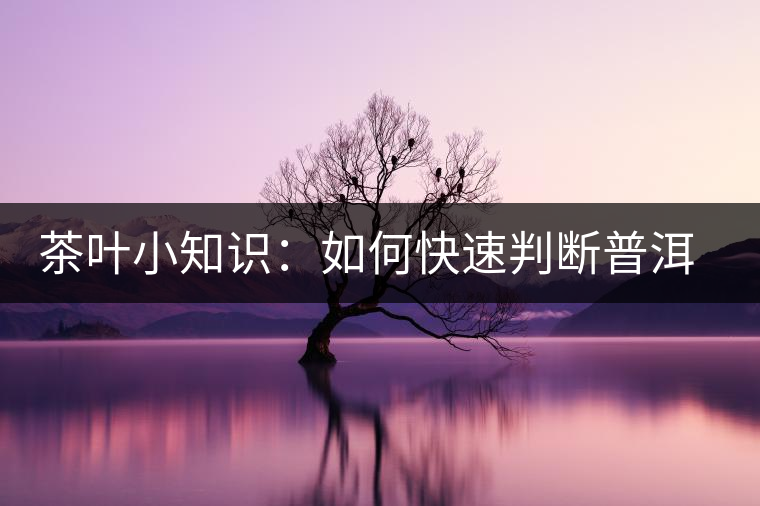 茶葉小知識(shí)：如何快速判斷普洱茶品級(jí)高低？