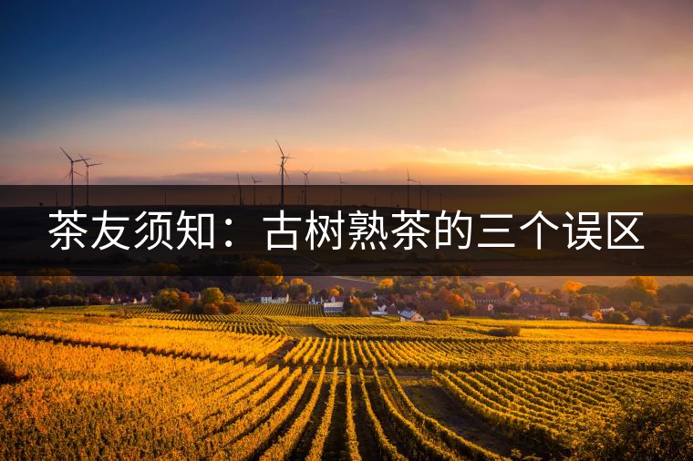 茶友須知:古樹熟茶的三個誤區(qū) 茶友須知:古樹熟茶的三個誤區(qū)