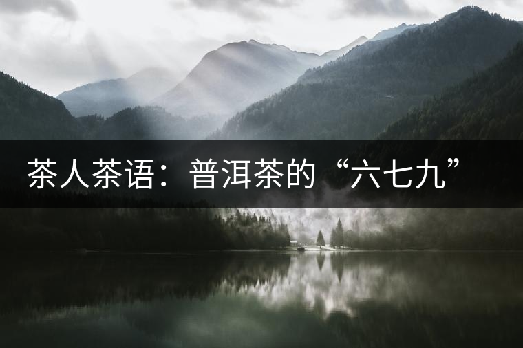 茶人茶語：普洱茶的“六七九” 你知道嗎？