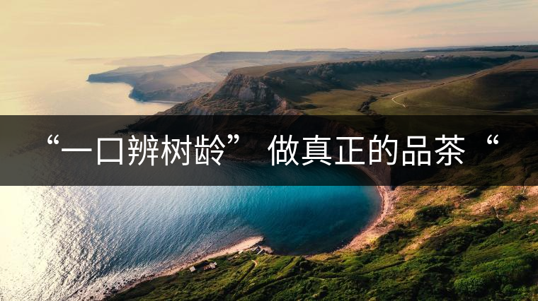 “一口辨樹齡” 做真正的品茶“大師”！