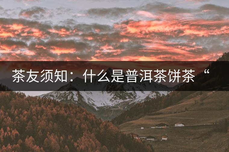 茶友須知：什么是普洱茶餅茶“八病”？如何鑒別？