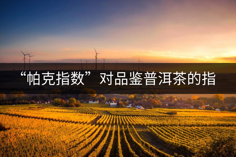 “帕克指數(shù)”對(duì)品鑒普洱茶的指導(dǎo)意義在哪里？「跨界有道」