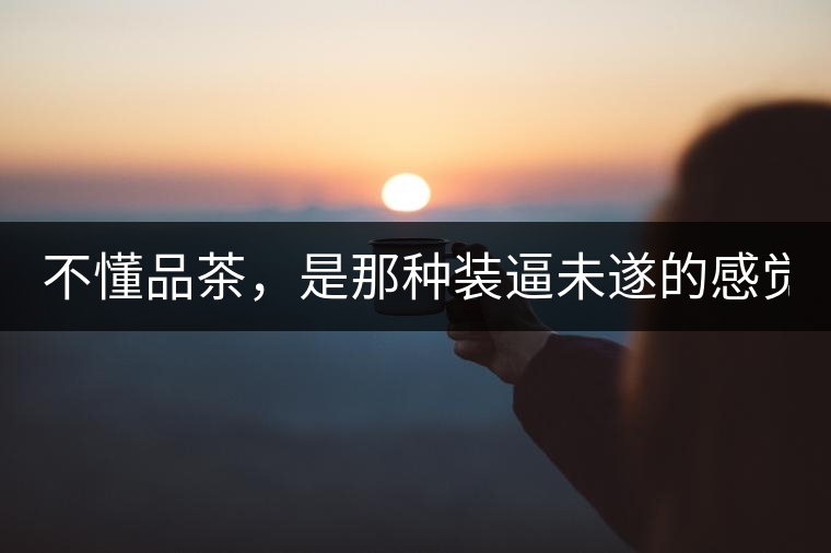 不懂品茶，是那種裝逼未遂的感覺？