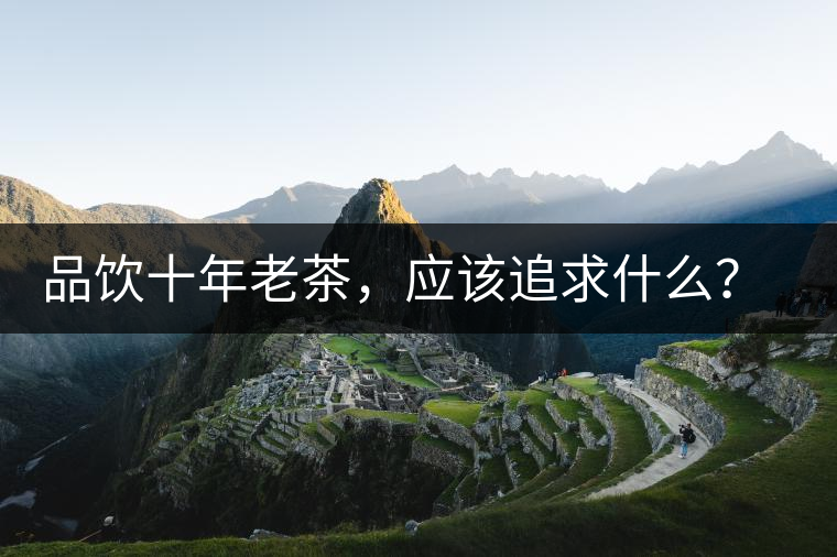 品飲十年老茶，應(yīng)該追求什么？滋味還是故事？