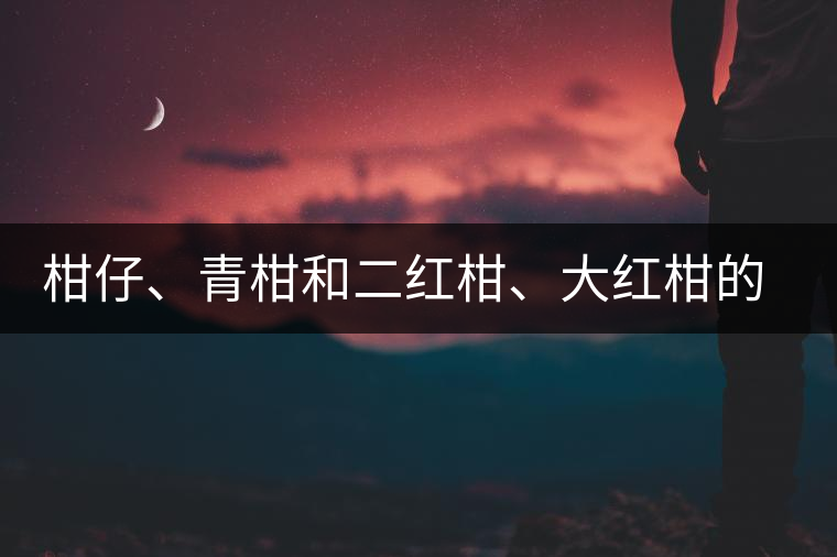 柑仔、青柑和二紅柑、大紅柑的區(qū)別，你可知道？