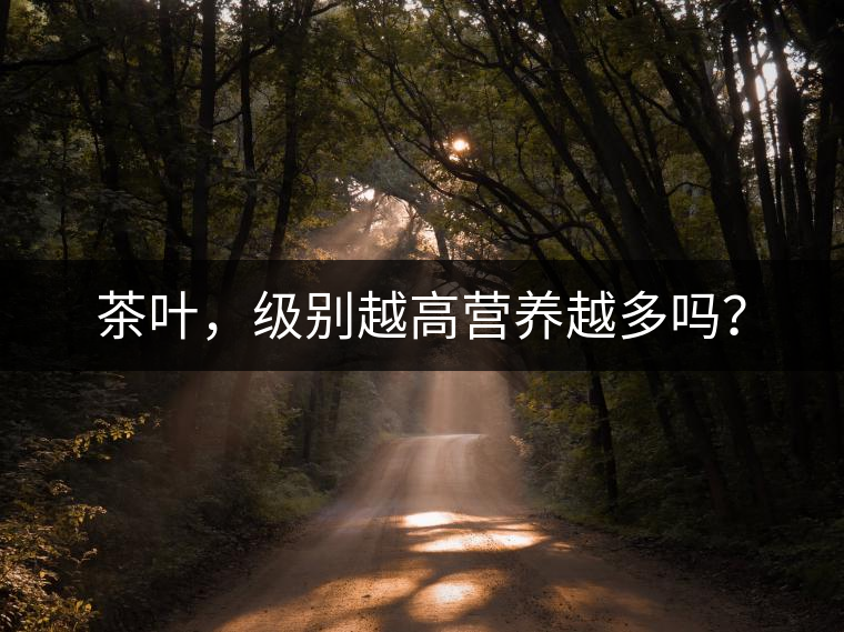 茶葉，級別越高營養(yǎng)越多嗎？