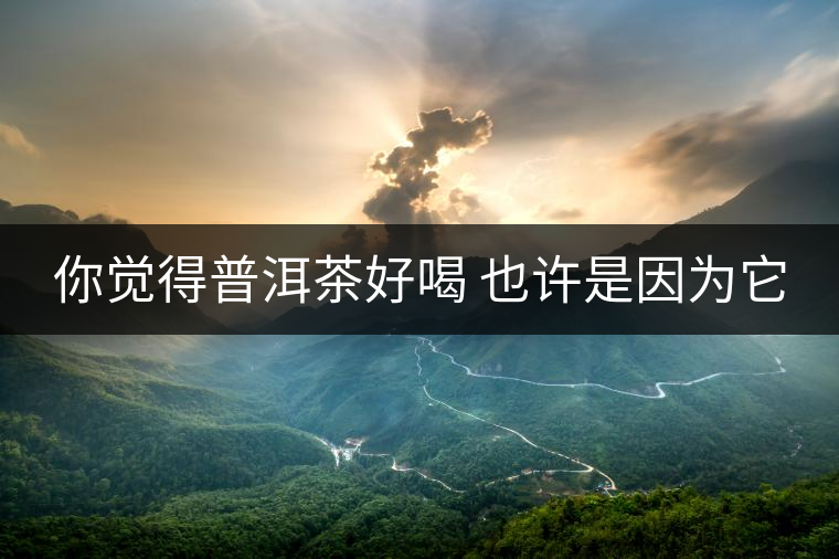 你覺得普洱茶好喝 也許是因為它 你覺得普洱茶好喝 也許是因為它