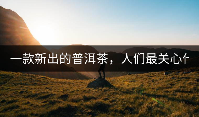 一款新出的普洱茶，人們最關(guān)心什么?