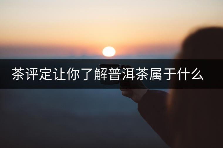 茶評(píng)定讓你了解普洱茶屬于什么茶系？