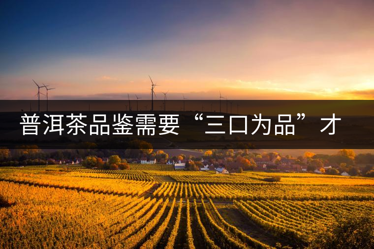 普洱茶品鑒需要“三口為品”才真實(shí)，那從哪里入手品鑒呢？