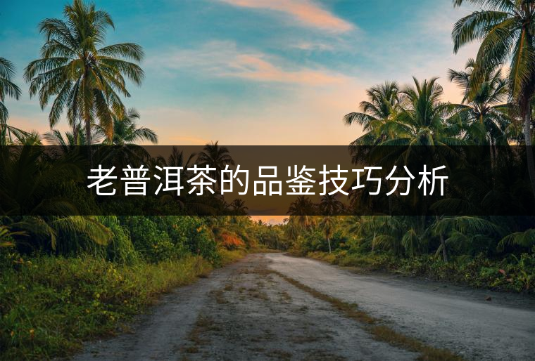 老普洱茶的品鑒技巧分析 老普洱茶的品鑒技巧分析
