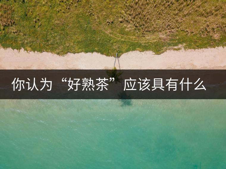 你認(rèn)為“好熟茶”應(yīng)該具有什么樣的標(biāo)準(zhǔn)？