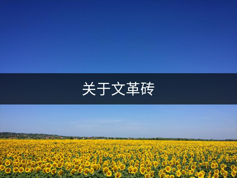 關(guān)于文革磚 關(guān)于文革磚