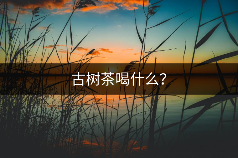 古樹(shù)茶喝什么? 古樹(shù)茶喝什么?