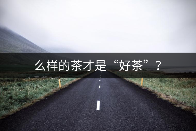 么樣的茶才是“好茶”？