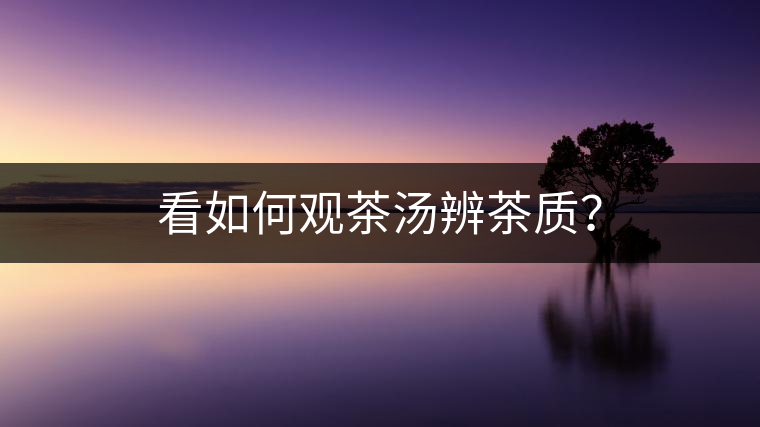 看如何觀茶湯辨茶質(zhì)？