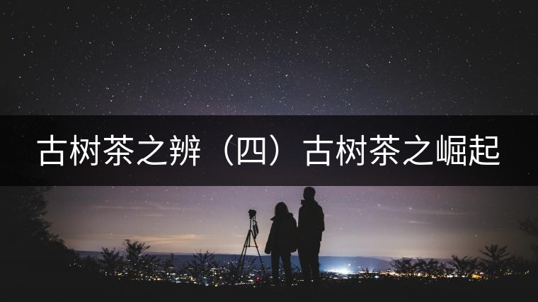 古樹(shù)茶之辨（四）古樹(shù)茶之崛起
