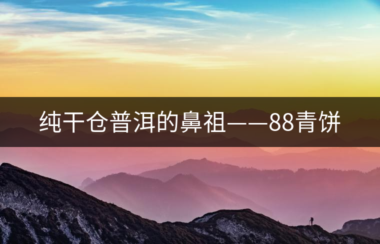 純干倉普洱的鼻祖——88青餅 純干倉普洱的鼻祖——88青餅