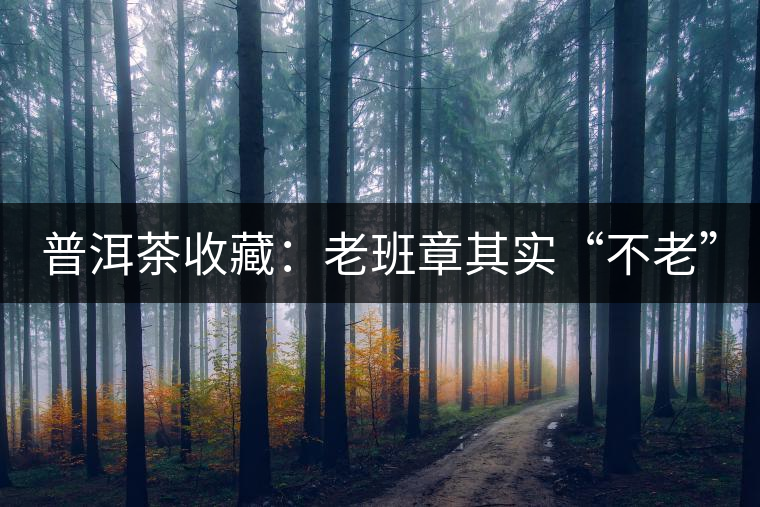 普洱茶收藏:老班章其實(shí)“不老” 普洱茶收藏:老班章其實(shí)“不老”