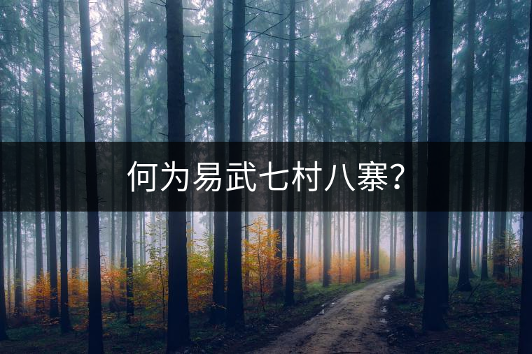 何為易武七村八寨？