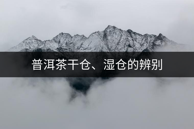 普洱茶干倉、濕倉的辨別
